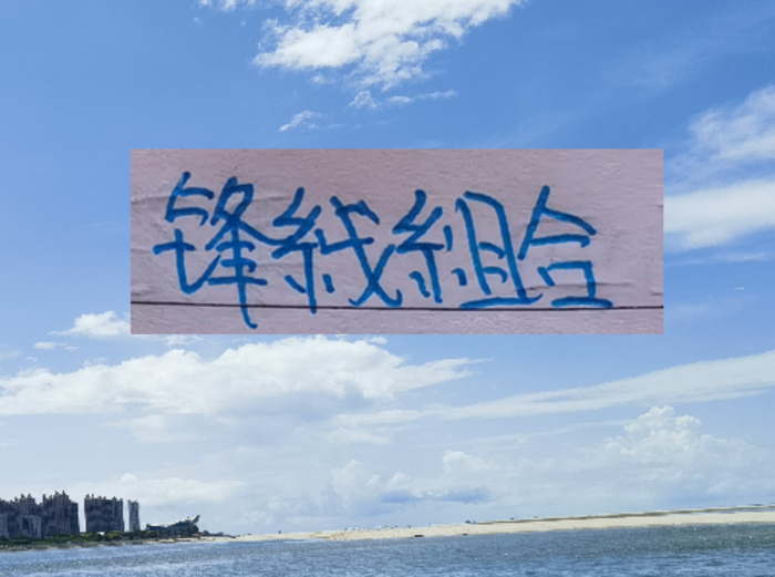 申花新赛季唐老鸭+米老鼠组合 能超越当年马莱莱+路易斯的组合吗|上海申花|拉唐|上海申花足球俱乐部|北京国安|亚冠_新浪体育_新浪新闻